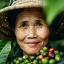 káva XIN Chao Hanoi honey – 100 % vietnamská robusta z Dak Laku