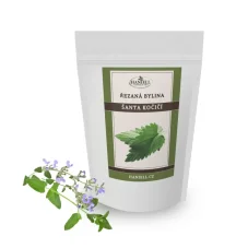 Mačacia mäta rezaná – aromatická bylina na bylinné nálevy