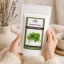 Bazalka Tulsi (Bazalka posvátná) - Hmotnost: 200 g