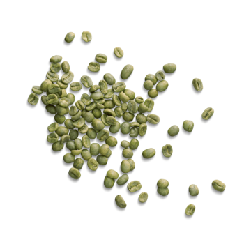 Zelená káva - Hmotnost - 250 g