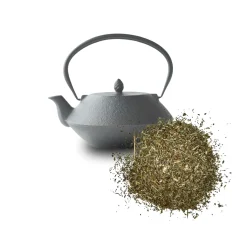 Meduňka nať řezaná – jemná citrónová vůně a uklidňující účinky