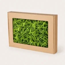 Dárková krabička s okénkem a zelenou výplní 350 × 250 × 50 mm