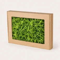 Dárková krabička s okénkem a zelenou výplní 350 × 250 × 50 mm