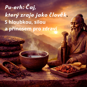 Pu-erh čaj: Čaj, který zraje jako člověk.    S hloubkou, silou a přínosem pro zdraví