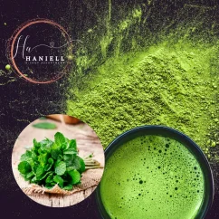 Zelený čaj Matcha Máta – Osvěžující restart pro tělo i mysl