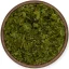 Medvedí cesnak – sušená bylinka s jemnou cesnakovou chuťou 🧄🌿✨ - Hmotnosť:: 25 g