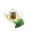 Šanta kočičí řezaná – aromatická bylina pro bylinné nálevy