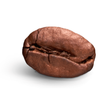 Single origin – jednodruhové kávy - původ kávy - Kongo
