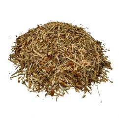 Ľubovník bodkovaný vňať – bylinkový čaj pre pokoj a rovnováhu